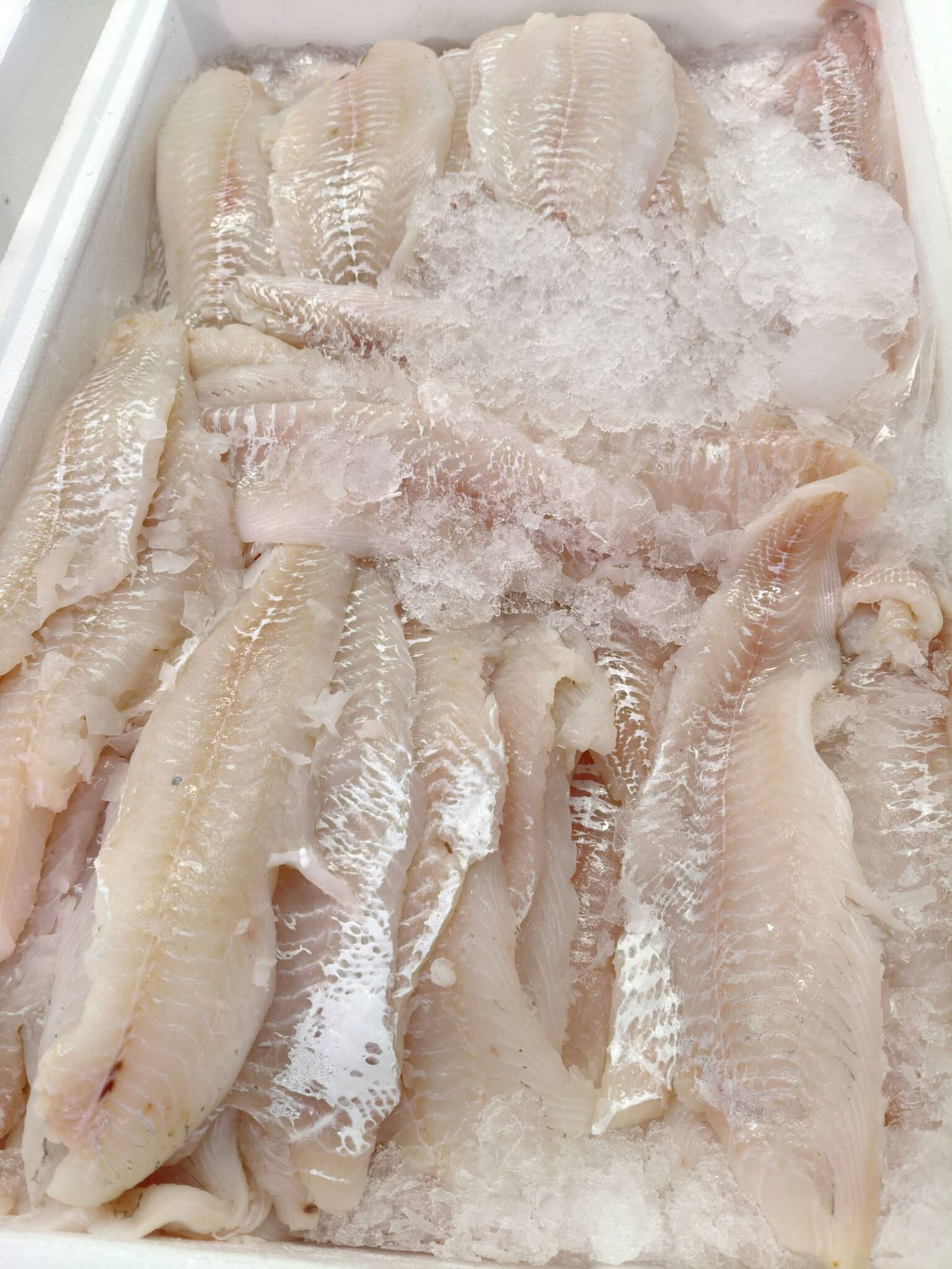 KULLER filet - Billede 2