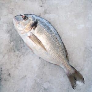 Dorade el. Guldbrassen